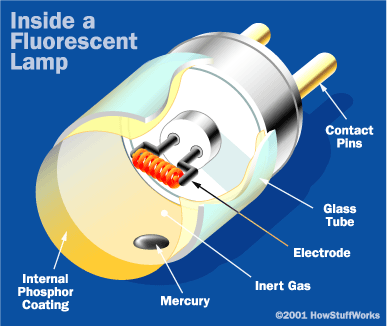 fluorescent-lamp