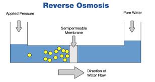 Reverse osmosis membranes