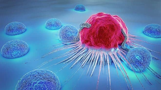 پاورپوینت عوامل موثر در بروز سرطان ها